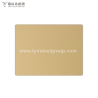 Golden Color Anti Corrosion Cold Rolled Stainless Steel Sheet for Sculpture
